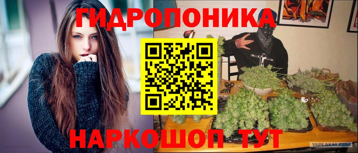 Конопля OG Kush Нижнекамск